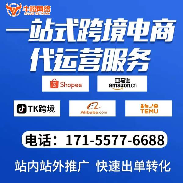鹰潭电商代运营